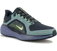 Nike Pegasus 41 Gore-Tex 41 Verde