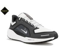 Nike Pegasus 41 Gore-Tex Zapatillas hombre 45.5 Gris/argent