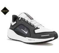 Nike Pegasus 41 Gore-Tex Zapatillas mujer 38 Gris/argent