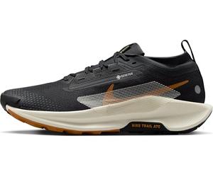 Nike Pegasus 5 Gore-Tex Men's Waterproof Trail Running Shoes, Sneaker Hombre, Off Noir/Pale Ivory-Black-Monarch, 41 EU