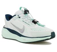 Nike Pegasus EasyOn 40.5 Vert