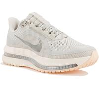 Nike Pegasus Premium 39 Gris/plata