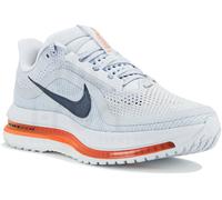 Nike Pegasus Premium 40 Gris/plata