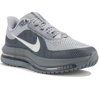 Nike Pegasus Premium 41 Gris/plata