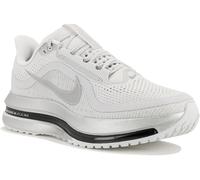 Nike Pegasus Premium 41 Gris/plata