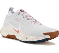Nike Pegasus Trail 5 Gore-Tex 42 Gris/plata