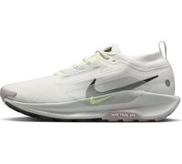 Nike Running Shoe Nike Pegasus Trail 5 Gore-Tex Zapatillas De Trail Running Impermeables - Hombre, Summit White/Sequoia-Light Silver, FQ0908-102, 40.5 EU (7.5 US)