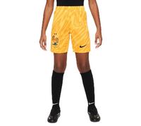 Nike Segunda Equipación Stadium FFF 2024 Pantalón Corto De Fútbol Tipo Réplica Dri-Fit - Niño/A, Tour Yellow/University Gold/Black, FJ4420-719, L