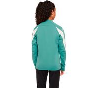 Liverpool FC Academy Winter Warrior Camiseta de entrenamiento de fútbol Nike Therma-FIT - Niño/a - Verde S