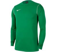 Nike - Sudadera Park 20 Niño, Unisex, Green, XS
