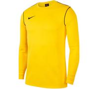 Nike - Sudadera Park 20 Niño, Unisex, Yellow, XS
