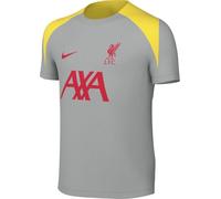 Nike Tercera Equipación Strike Liverpool FC Camiseta De Fútbol De Tejido Knit Y Manga Corta Dri-Fit - Niño/A, Lt Smoke Grey/Lt Smoke Grey/Global Red, FQ2631-078, S