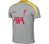 Nike Tercera Equipación Strike Liverpool FC Camiseta De Fútbol De Tejido Knit Y Manga Corta Dri-Fit - Hombre, Lt Smoke Grey/Lt Smoke Grey/Global Red, FQ2611-078, M