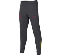 Nike Tercera Equipación Strike Liverpool FC Pantalón De Fútbol Dri-Fit - Niño/A, Dk Smoke Grey/Chrome Yellow/Global Red, FQ2650-070, S