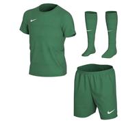 Nike Unisex Kids Kit Lk Nk Dry Park20 Kit Set K, Pine Green/Pine Green/White, CD2244-302, S