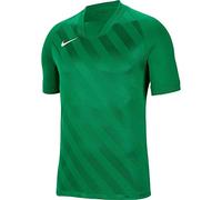 NIKE Unisex Kids Y Nk Dry Chalng III JSY SS T-Shirt