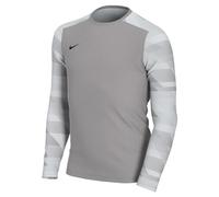 Nike Y Nk Dry Park IV JSY LS Gk T-Shirt, Unisex-Child, Pewter Grey/White/Black, L