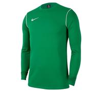 Nike Y NK Dry PARK20 Crew Top Sweatshirt, Boys, Pine Green/White/White, XS