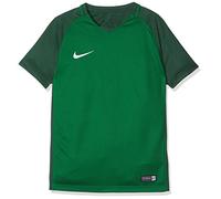 Nike Y Nk Dry Trophy III JSY SS Short Sleeve Top, Unisex niños, Pine Green/Gorge Green/Gorge Green/White, XL