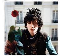 Nikki Sudden - The Bible Belt [VINYL] [Vinilo]