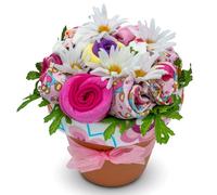 Nikki's Deluxe Baby Blossom: trajes de bebé (niño o niña), Rosado