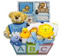 Nikki's Gift Baskets Cesta de regalo para bebé, juego de canastilla para bebé con adorables elementos esenciales para bebé, cesta de regalo para bebé recién nacido para futuras mamás y baby showers,