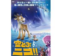 Niko&the Way to the Stars [DVD de Audio]
