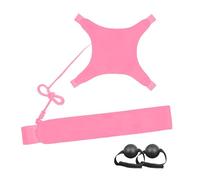 Niktule Equipo De Entrenamiento De Voleibol,Ayuda De Práctica Interior Ajustable,Entrenador De Golpeo Y Saque De Voleibol | para Técnicas De Salto, Brazos Y Swing En