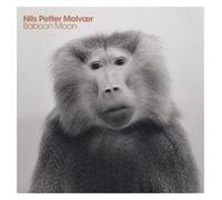 Nils Petter Molvaer - Baboon Moon