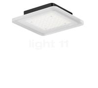 Nimbus Modul Q Connect, lámpara de techo LED, con alojamiento - 18 cm - negro - excl. driver - fijo