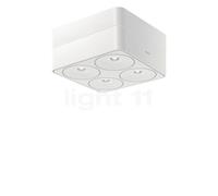 Nimbus Q Four Connect, lámpara de techo LED, con alojamiento - blanco - 40° - ex river - fijo
