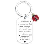 Nimteve Llavero conmemorativo de mariquita, regalo conmemorativo para mujer, regalo conmemorativo por la pérdida de un ser querido, regalo de condolencias por la pérdida de mamá