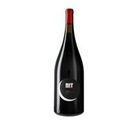 Nin-Ortiz Nit de Nin Mas d'en Caçador Priorat Botella Magnum 1,5 L Vino tinto