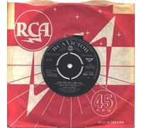 NINA SIMONE - Ain't Got No - I Got Life