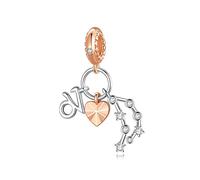 NINGAN 12 Constelación Abalorios Charms Plata de Ley 936, Abalorios de Zodiaco Compatible con Pulsera Collar Capricorn (12/22-01/19)