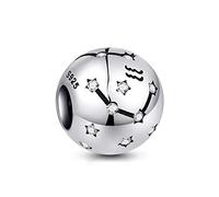 NINGAN Acuario Encantos del Cumpleaños de 12 Signos del Zodiaco - Encantos de Plata Esterlina de 925 Ajustan Pulsera & Collar- Regalos de cumpleaños ideales para Mujeres y Amigos