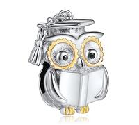 NINGAN Dr. Owl 925 Cuentas Charms De Plata Esterlina Regalo De GraduacióN Para Mujeres Regalo De GraduacióN Cuentas Charms Pulsera De CumpleañOs Regalo De CumpleañOs