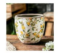 NingBright Macetas Divertidas Flor de cerámica for Plantas jardín y suculentas decoración Primavera Agrietada desgastada Decoración para el Porche(No Hole,L)