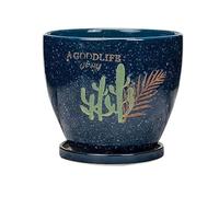 NingBright Macetas Divertidas Macetero de cerámica con Orificio Drenaje, Maceta orquídeas suculentas Redondas Grandes for jardín Decoración para el Porche(17cm)