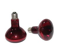 Niniang - Lote de 2 bombillas calefactoras de 100 W, bombillas de sol infrarrojas para anfibios, bombillas calefactoras para tortugas, lagartos y más.