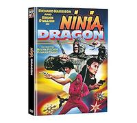 Ninja Dragon (1986) [ NON-USA FORMAT, PAL, Reg.0 Import - Germany ]