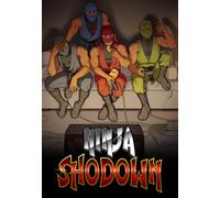 Ninja Shodown Steam Key GLOBAL