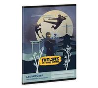 Ninjas en la Oscuridad: Cuaderno de Lecciones