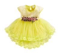 Niño bebé niños niñas Flores Floral Tul Fruncido Princesa Vestidos Ropa Ejecutiva