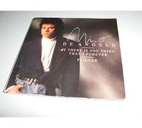 Nino de Angelo - If there is one thing that's forever (3")