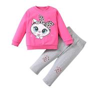 Niños Niños Bebé Niñas Manga Larga Lindo Dibujos Animados Animales Tops Blusa Leopardo Estampado Pantalones Pantalones Conjunto 2PCS Ropa, Rosa intenso., 2-3Years