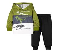 Niños Niños Dos Piezas 2026 Chicos Sudadera Con Capucha De Forro Polar Con Estampado De Dinosaurios Camiseta De Manga Larga Y Pantalones, Traje Deportivo Sólido Blusa Conjuntos de Ropa, Verde militar
