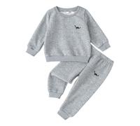 Niños Niños Niños Dos Piezas 2026 Manga Larga Sudadera Con Capucha Y Pantalones De Chándal Con Bordado De Dinosaurios Para Niños - Para Chándal Casual Camisetas De Té Blanco, gris, 6-9 meses