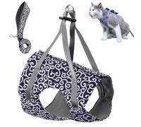 Niowatchted Cat Vest Harness and Leash, Anti-Break Away Chest Strap Cat Clothes, Escape Proof Harnesses Come with Adjustable Straps for Large and Small Kittens Dogs (Blue,M)