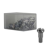 Niples De Radio De Latón DT Swiss 2.0x12mm Plata Caja De 100